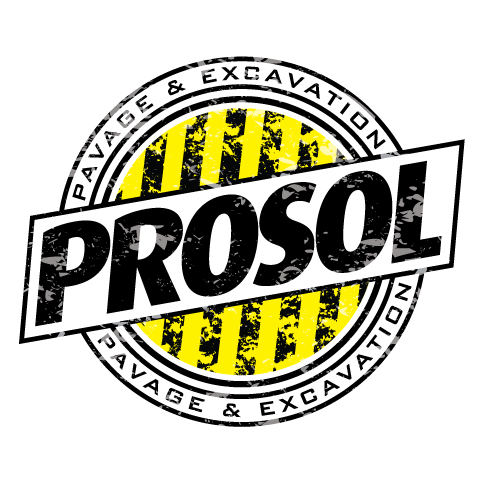 prosol_logo